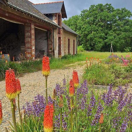 Ecolodges De Loire & Spa Gennes-Val-de-Loire Exterior foto