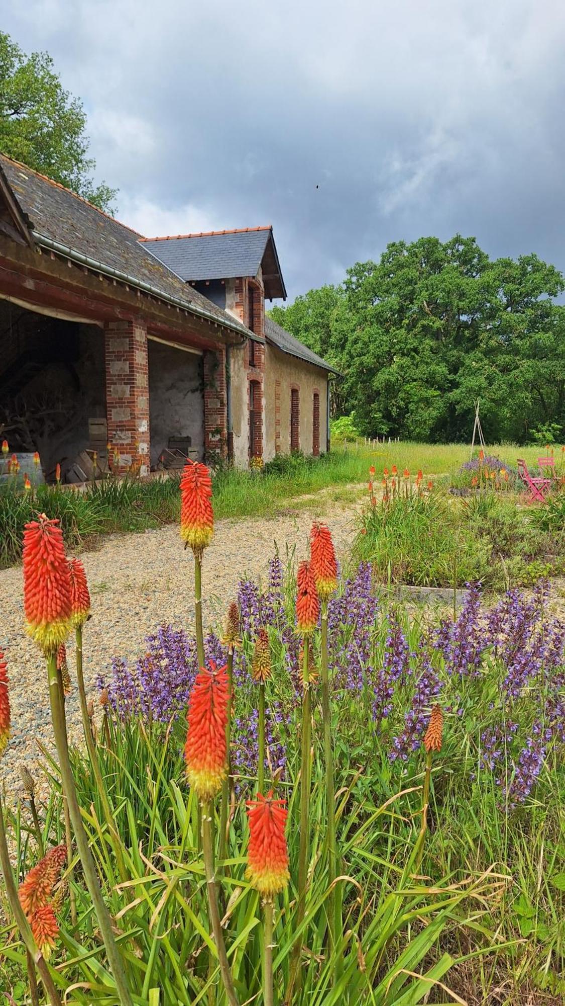 Ecolodges De Loire & Spa Gennes-Val-de-Loire Exterior foto